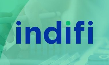 Fintech Lender Indifi'S Revenue Nears Rs 100 Cr In FY22 While Losses Shrink 10%