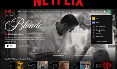 Netflix rolled out Profile-Transfer Feature — Making It Easier for Password moocher to create their own paid accounts.