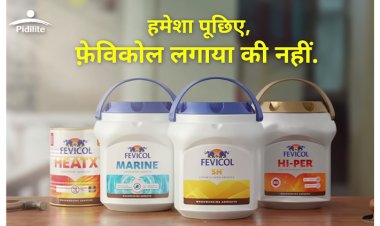 Fevicol's jija-saala banter: Will the IPL commercial stay in the minds of viewers?