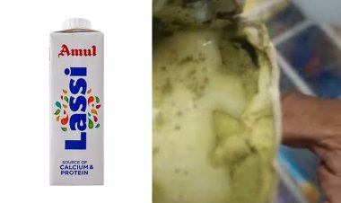 Amul Lassi video becomes viral due to fungal allegations; the corporation reacts