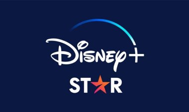 Disney Star pitches ICC WC Co-Presenting at Rs 118cr for TV, Rs 150cr for Disney+ Hotstar