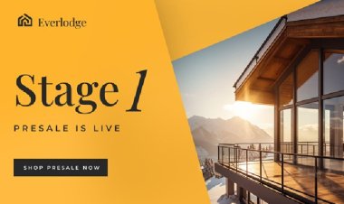 Cardano and ApeCoin Dip; Everlodge Shines in Historic Presale