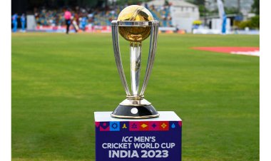 Regional Brands Gear Up for Cricket World Cup 2023