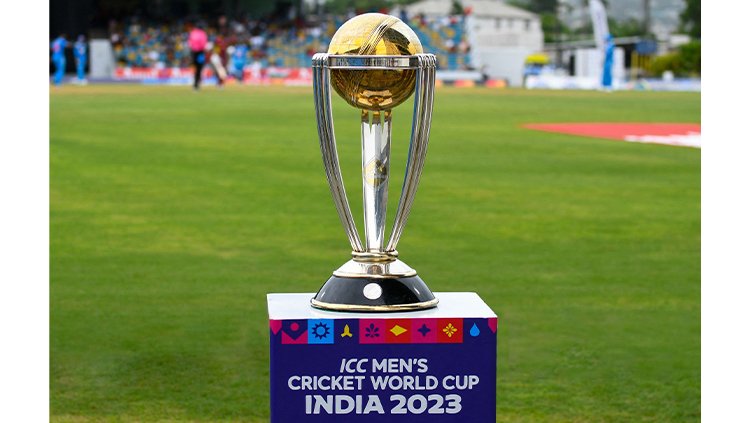 Regional Brands Gear Up for Cricket World Cup 2023