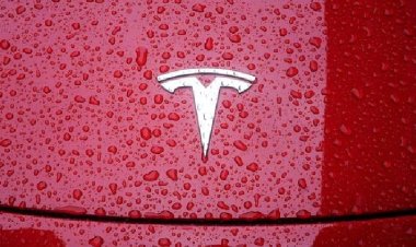 Elon Musk's Tesla Nears Pact with Indian Government, January Reveal