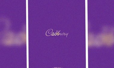 Print Advertising Resurges in the Digital Age with Creative Brilliance