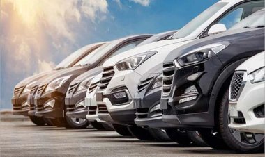 Auto sector excels in digital AdEx, led by paid search