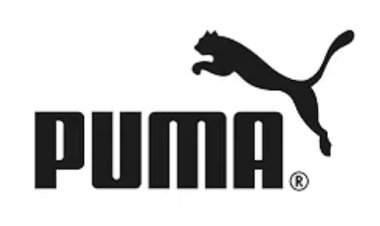 Delhi Capitals announce Puma as official kit sponsor