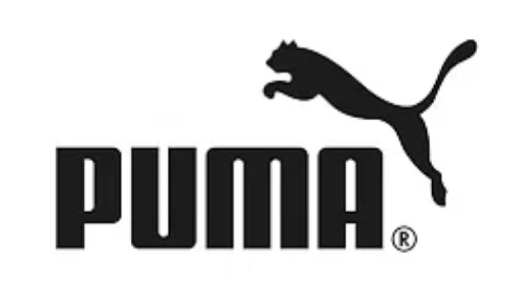 Delhi Capitals announce Puma as official kit sponsor