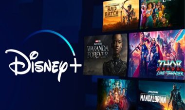 Disney CEO Bob Iger aims to stop password-sharing starting June