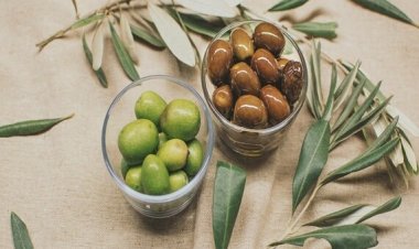 National Olive Day 2024: Discover 6 surprising health benefits of olives