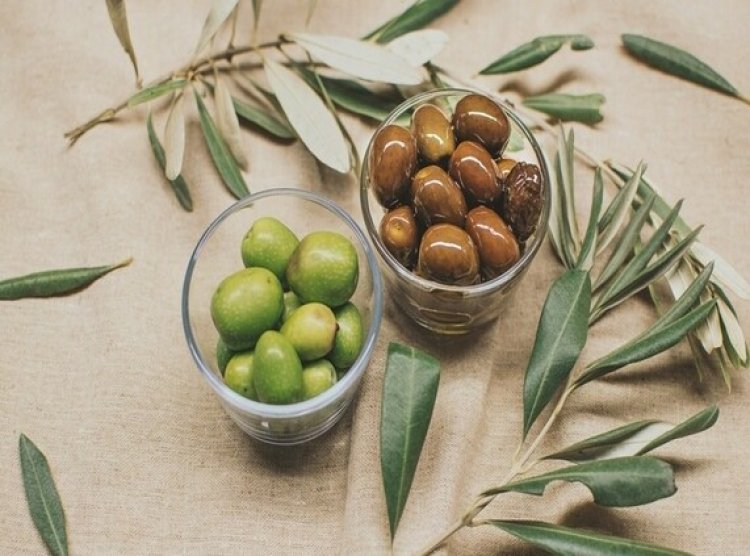 National Olive Day 2024: Discover 6 surprising health benefits of olives
