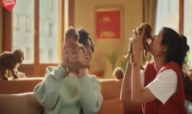 Britannia Little Hearts launches new look with paw-some campaign