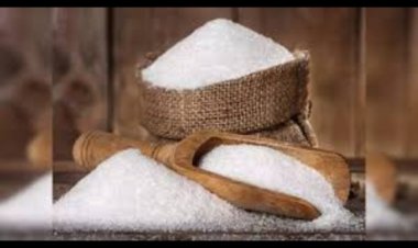 Authorities Lift Cap on Sugar Diversion for Ethanol Production for ESY 2024-25