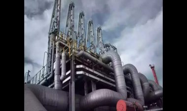 Gujarat Gas Shares Jump 10% on Merger Buzz: Buy, Sell, or Hold