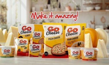 Go Cheese: A Flavorful Twist to Everyday Meals