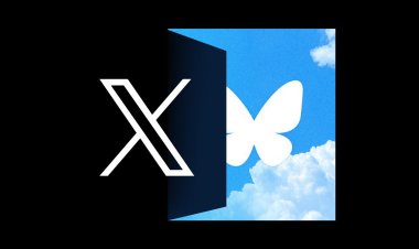 Trump’s Win Sparks Exodus from X, Bluesky Sees Major Growth