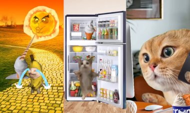 Cats: The Purrfect Marketing Tool