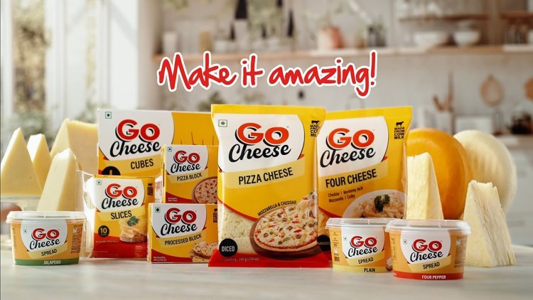 Go Cheese: A Flavorful Twist to Everyday Meals