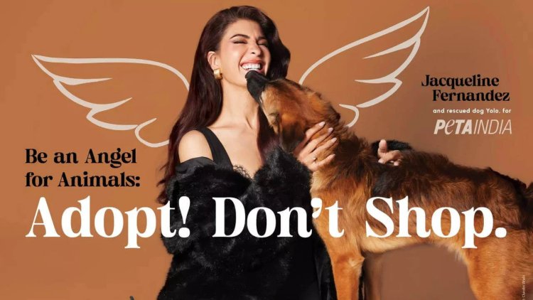 Jacqueline Fernandez: Adopt, Don't Shop! PETA India Urges Fans to Choose Rescue