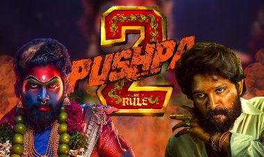 Pushpa 2 Breaks Records with ₹72 Crore Hindi Opening Day