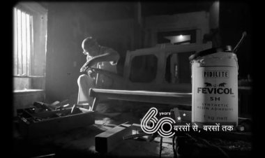 Fevicol's Sofa Jingle Makes a Viral Comeback on Instagram