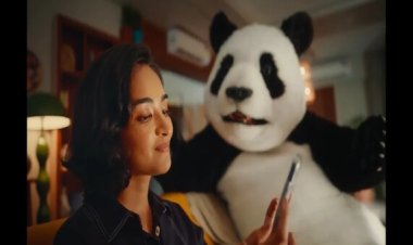 Flipkart’s Sad Panda Campaign Captures Gen Z’s Heart and Humor