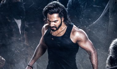 How Brands Like Center Fresh and Astral Pipes Shine in Baby John