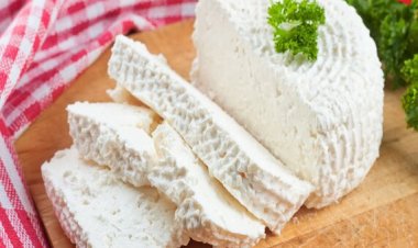 Cottage Cheese in India: Benefits, Market Trends, Top Brands