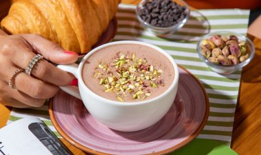 Quattro Bistro Launches in Churchgate, Showcasing Italian-Mexican Fusion