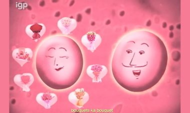 iGP’s Valentine’s Day Ad Highlights Thoughtful Gifts and Timely Gestures: Because Love Deserves the Best