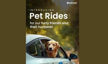 Blusmart Pet Rides: Pioneering Pet Travel for Modern Delhi Adventures