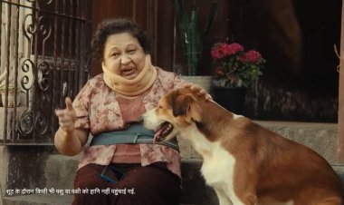 Achha Kiya Insurance Liya: GIC’s Heartwarming New Campaign