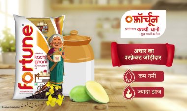 Fortune Celebrates Pickle Traditions with Naani Mascot