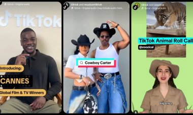 TikTok and Scope3: Cutting Carbon from Digital Ads