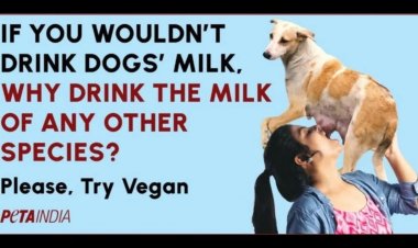 PETA’s Dog Milk Ad Sparks Outrage and Debate in India