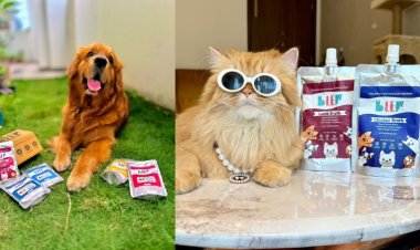 BLEP’s #NeverAgain Campaign Exposes India’s Hidden Pet Crisis