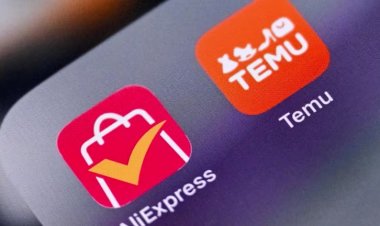 Seoul Urges Temu, AliExpress to Pull Unsafe Kids’ Products