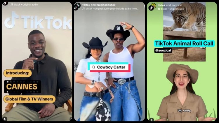 TikTok and Scope3: Cutting Carbon from Digital Ads