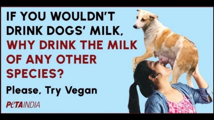 PETA’s Dog Milk Ad Sparks Outrage and Debate in India