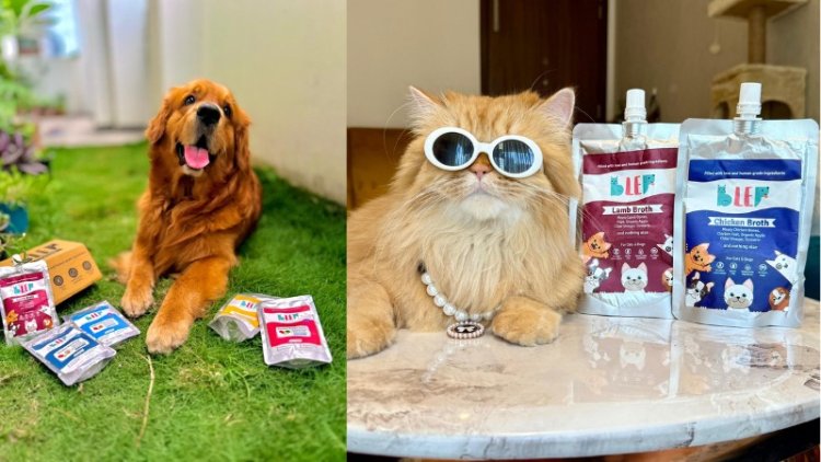 BLEP’s #NeverAgain Campaign Exposes India’s Hidden Pet Crisis