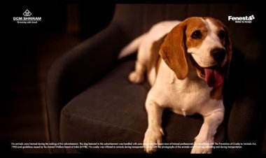 Fenesta’s Monsoon Ad Brings Laughter and Leak-Free Homes