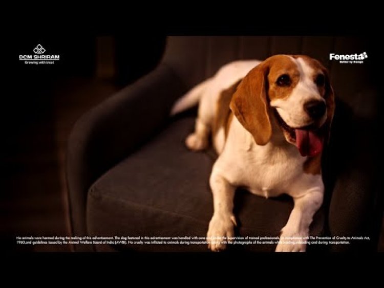 Fenesta’s Monsoon Ad Brings Laughter and Leak-Free Homes