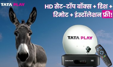 Tata Play's AI campaign with owl and donkey simplifies DTH value story