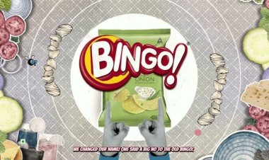 Bingo! Turns Its “Big No” Into a Big Comeback