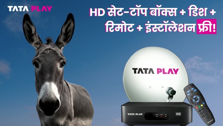 Tata Play's AI campaign with owl and donkey simplifies DTH value story