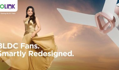 Signify Reimagines Ceiling Fans With Style Led Rashmika Campaign