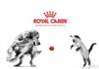 Royal Canin Shows Why Every Pet Deserves Tailored Nutrition