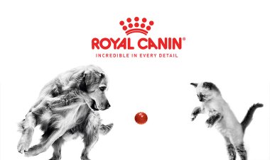 Royal Canin Shows Why Every Pet Deserves Tailored Nutrition