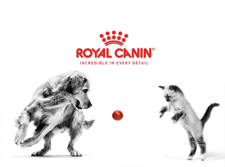 Royal Canin Shows Why Every Pet Deserves Tailored Nutrition